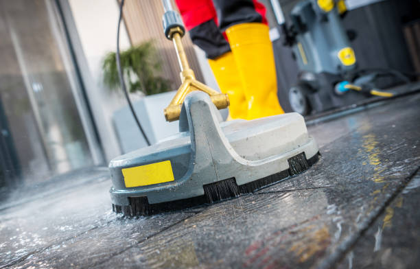 Best Pressure Washing Near Me  in Pine Island Center, FL