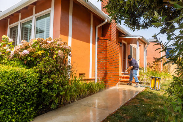 Best Affordable Pressure Washing  in Pine Island Center, FL